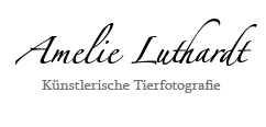 Amelie Luthardt - Künstlerische Tierfotografie